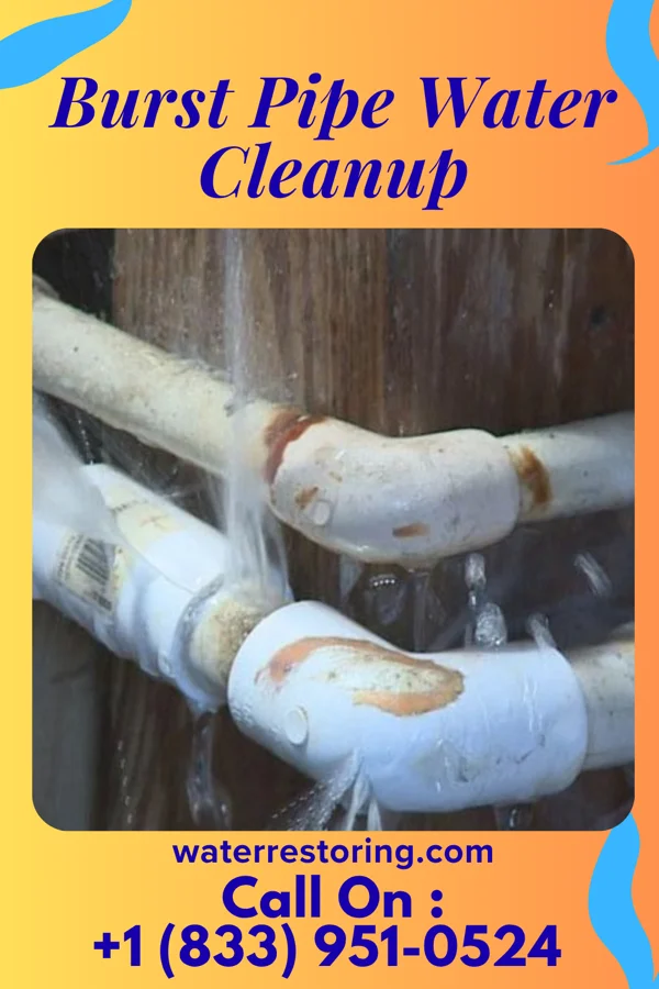 Burst Pipe Water Cleanup in Bradley Gardens, NJ