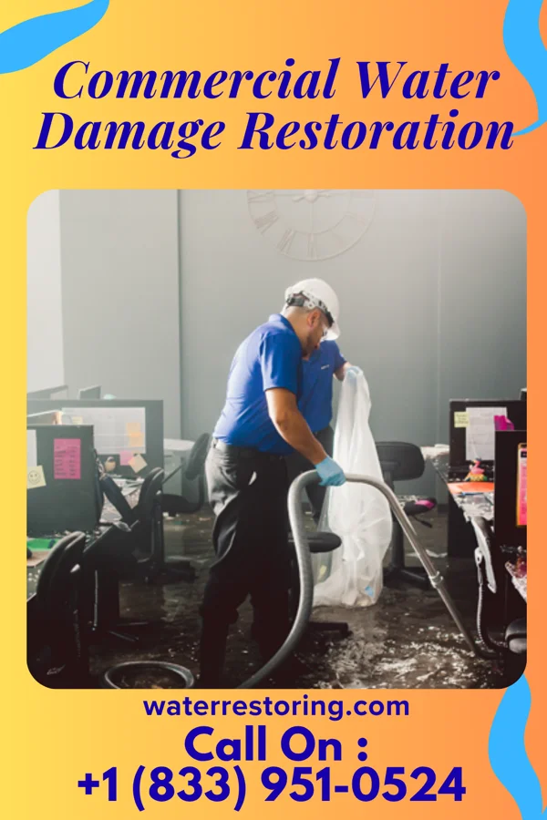 Commercial Water Damage Restoration in Bradley Gardens, NJ