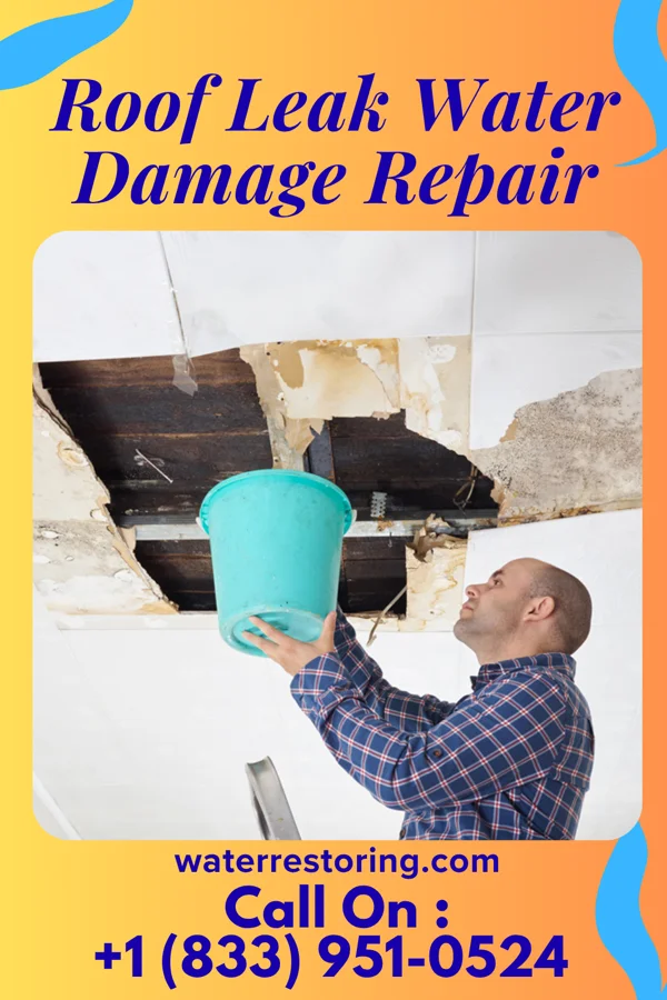 Roof Leak Water Damage Repair in Bradley Gardens, NJ