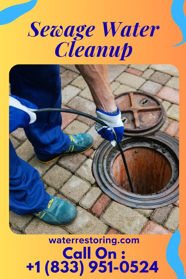 Sewage Water Cleanup in Bradley Gardens, NJ