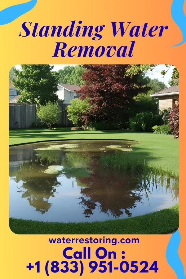Standing Water Removal in Bradley Gardens, NJ